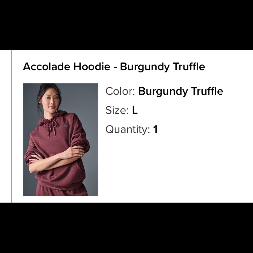 Alo Accolade Hoodie